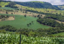 Oportunidades para o agro do Brasil na era Trump