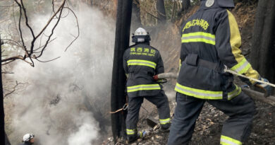 Incêndio florestal sem precedentes no Japão deixa um morto e desloca milhares