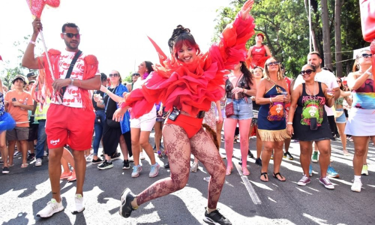 pré carnaval são paulo