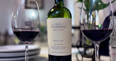 Saiba mais sobre Merlot, uva de Bordeaux que conquistou o mundo e se deu muito bem na Argentina