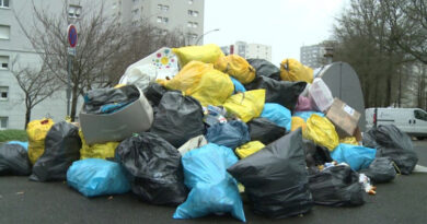 Coreia do Sul consegue reciclar quase todo resíduo alimentar com sistema inovador