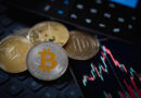 Desafio S.O.R.O.S.: Entenda como funciona o sistema que pode transformar R$ 1 mil em até R$ 20 mil com criptomoedas