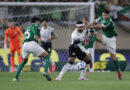 Palmeiras leva multa por cantos homofóbicos e arremessos de objetos em clássico com Corinthians