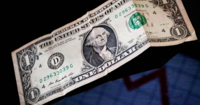 Dólar tem leve queda e fecha dia cotado a R$ 5,56; Ibovespa cai ao menor nível em um mês