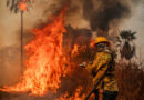 Fundo Amazônia destina recursos para combate a incêndios em biomas não amazônicos