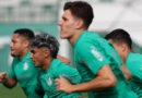 Agenda L!: curtinhas do Palmeiras do dia 12/07/2025