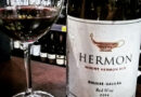 Conheça os vinhos de Israel, parte integrante da cultura hebraica há mais de 5.000 anos