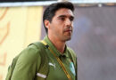 ‘Lambendo as feridas’, Palmeiras retorna ao Brasileirão em nova realidade